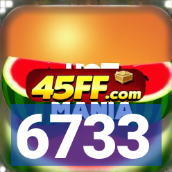 6733